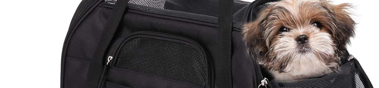 Pet Taxi Paris to London