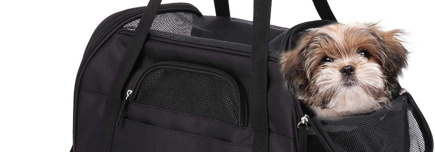 Pet Taxi Paris to London