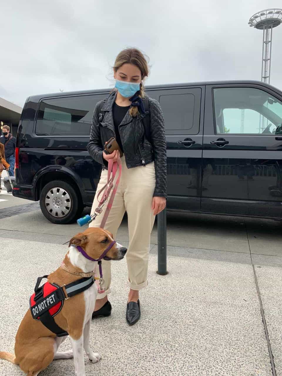 pet taxi london to paris